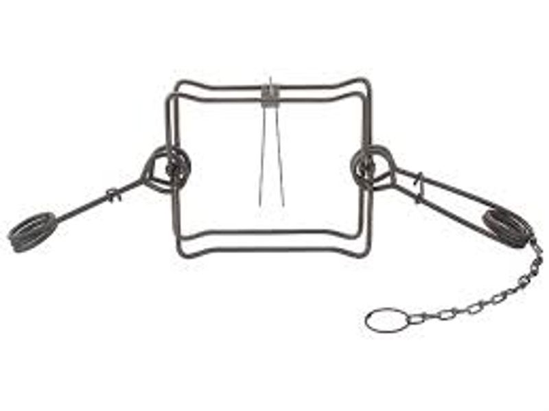 BEVER OG OTERFELLE DUKE 330