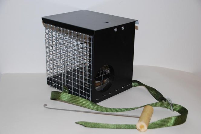 Hovedbilde MÅR SYNINGFELLA