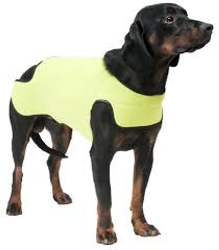 PROTECTOR RETRIVER M